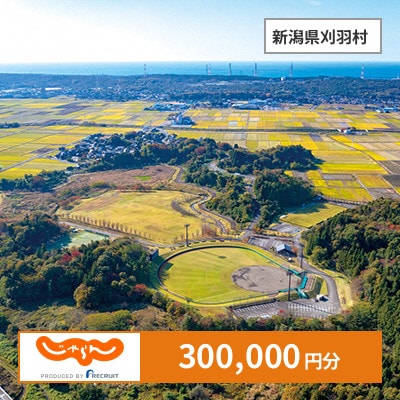【じゃらんふるさと納税クーポン】 新潟県刈羽村でつかえる300,000円 クーポン