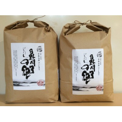 【毎月定期便】6ヶ月定期便 にちなん日野川の郷5kg×2全6回