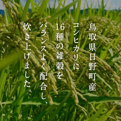 鳥取県産コシヒカリの十六雑穀パックごはん 160g×18個