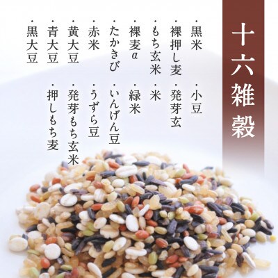 鳥取県産コシヒカリの十六雑穀パックごはん 160g×18個