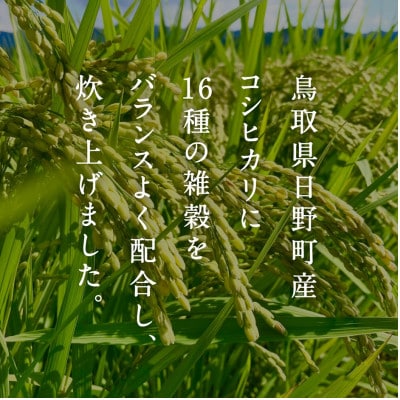 鳥取県産コシヒカリの十六雑穀パックごはん 160g×36個