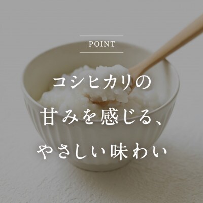 鳥取県産コシヒカリの白粥 200g×18個 おこめのみかた【おかゆ】電子レンジで簡単調理