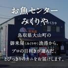 OM-31【早期先行予約】訳あり足1本折れボイル松葉ガニ(600g～700gを1枚)