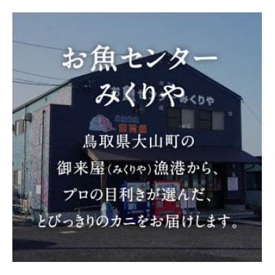 OM-14-2【先行予約】境港水揚げ 訳あり松葉ガニ3kg詰め合わせ(冷凍)