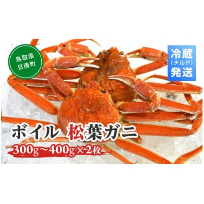 OM-16-1 【早期先行予約】ボイル松葉ガニ(300g～400gを2枚)冷蔵配送