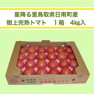 鳥取県日南町　樹熟れトマト4kg