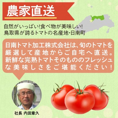 鳥取県日南町　樹熟れトマト4kg