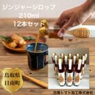 鳥取県日南町 ジンジャーシロップ 12本 セット