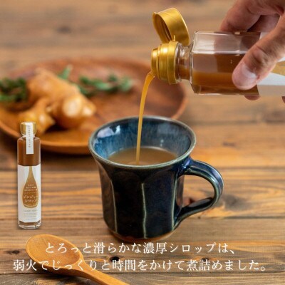 鳥取県日南町 ジンジャーシロップ 12本 セット