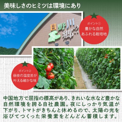 熟王 720ml×2本セット