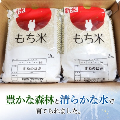 東成瀬村産 もち米(きぬのはだ )2kg×2袋|07_nas-010201