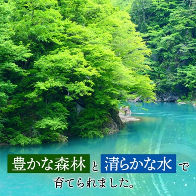 東成瀬村産 もち米(きぬのはだ )2kg×2袋|07_nas-010201