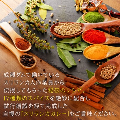 成瀬ダム スリランカカレー 100g×5個|07_tky-060501