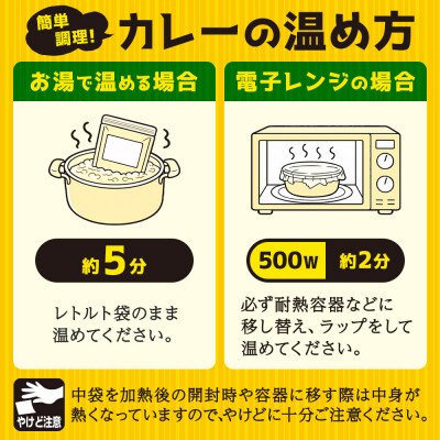 成瀬ダム スリランカカレー 100g×5個|07_tky-060501