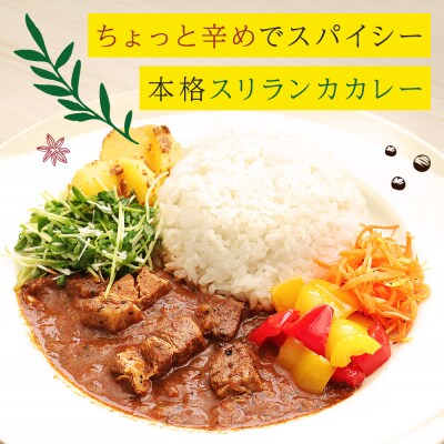 成瀬ダム スリランカカレー 100g×10個|07_tky-061001