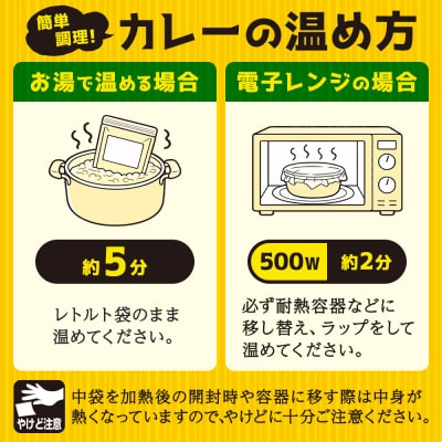 成瀬ダム スリランカカレー 100g×18個|07_tky-061801