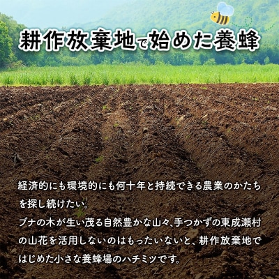 meguruhi 純粋非加熱 蜂蜜(200g×1本)国産はちみつ 百花蜜|07_ntc-010101