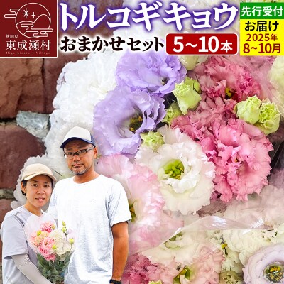 トルコギキョウおまかせセット (5～10本)【先行受付】|07_khf-011001