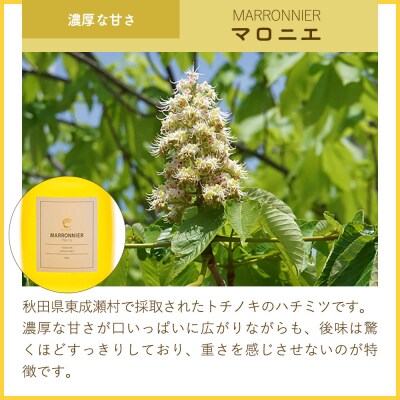 はちみつ2個セット(マロニエ・ケンポナシ プラスチックボトル)|07_bct-050201b
