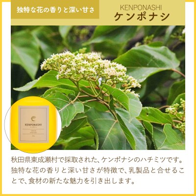 はちみつ3個セット(ヒガシナルセ・ケンポナシ・マロニエ ガラスびん)|07_bct-060301a