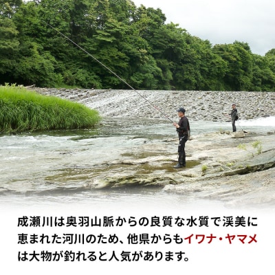 成瀬川 年間遊漁券(渓流)|07_ngk-010101