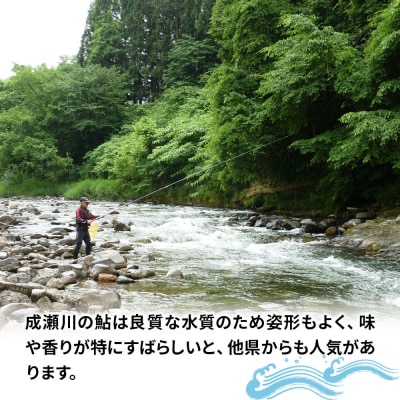 成瀬川 年間遊漁券(あゆ)|07_ngk-020101