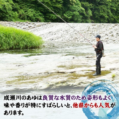 成瀬川 年間遊漁券(あゆ)|07_ngk-020101
