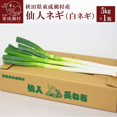 秋田県東成瀬村産　仙人ネギ(白ネギ) 5kg×1箱|07_nkb-020101