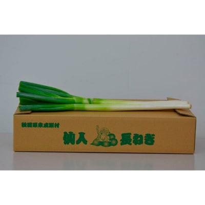 秋田県東成瀬村産　仙人ネギ(白ネギ) 5kg×1箱|07_nkb-020101