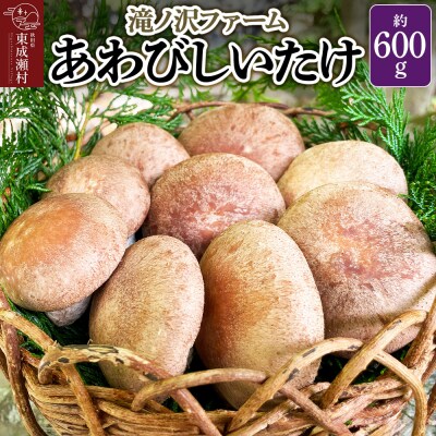 椎茸 あわびしいたけ 約600g 滝ノ沢ファーム シイタケ 秋田県 国産|07_ntf-060601