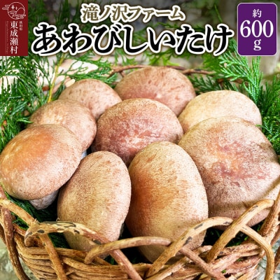 椎茸 あわびしいたけ 約600g 滝ノ沢ファーム シイタケ 秋田県 国産|07_ntf-060601