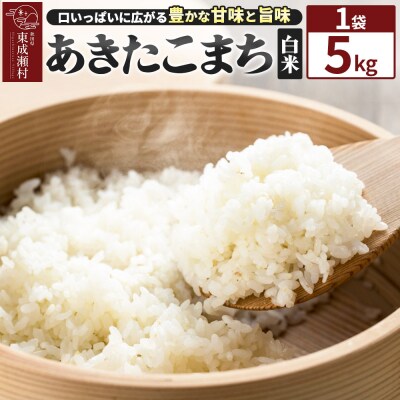 米【白米】東成瀬村産 あきたこまち 5kg(5kg×1袋)|07_tws-040101