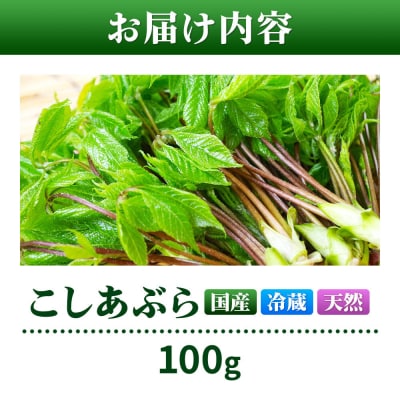 山菜 こしあぶら 100g 秋田県 東成瀬村産 TAKAYA|07_tky-171001