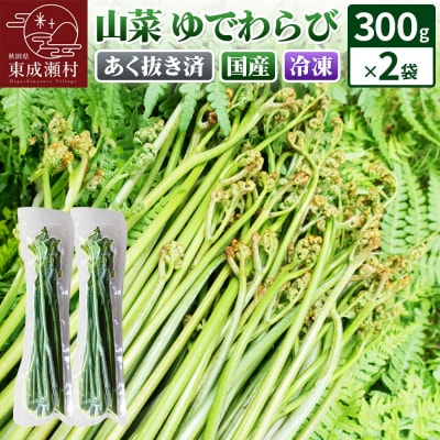 山菜 ゆでわらび 300g×2 冷凍 秋田県 東成瀬村 TAKAYA|07_tky-140201