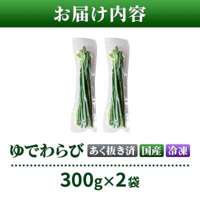 山菜 ゆでわらび 300g×2 冷凍 秋田県 東成瀬村 TAKAYA|07_tky-140201