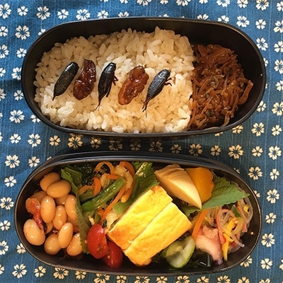 兵庫県佐用町産こおろぎ佃煮缶詰40g×3缶