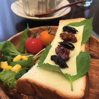 兵庫県佐用町産こおろぎ佃煮缶詰40g×3缶