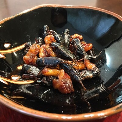 兵庫県佐用町産こおろぎ加工品詰め合わせ(佃煮缶詰40g×1缶、カレー200g×2袋)