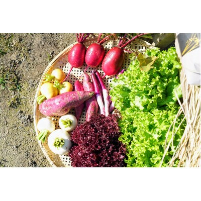 兵庫県産のお米(3kg)  と季節のお野菜(約2kg)の詰め合わせ