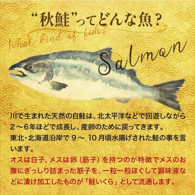北海道産 いくら(鮭卵)醤油漬 1kg(200g×5パック) 小分け