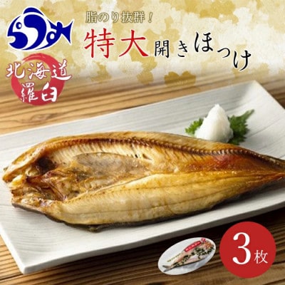 【北海道産】知床羅臼産 特大開きほっけ(3枚) 一夜干し〈1枚LLサイズ(420g前後)〉