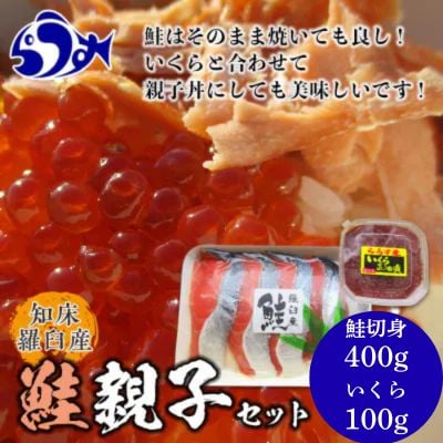 北海道知床羅臼産 鮭親子セット 鮭切身400g前後・醤油いくら100g 各1パック