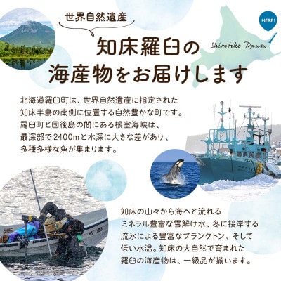 北海道羅臼町　一夜干し 漬け魚 お魚11種セット 計3.75kg