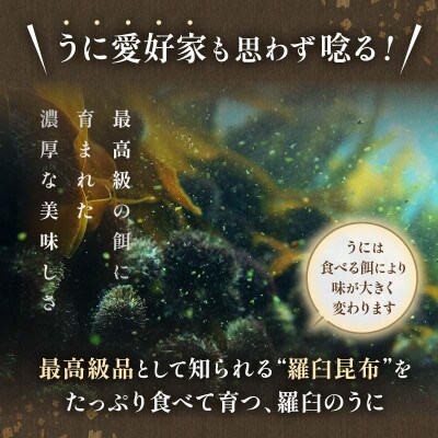 〈特上〉食べ比べ2枚 折うに120g1枚・塩水うに100g1枚 天然エゾバフンウニ【北海道羅臼町】