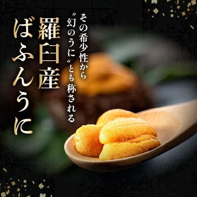 【訳あり】天然塩水うに(ばふんうに)100g×2枚 北海道知床羅臼産