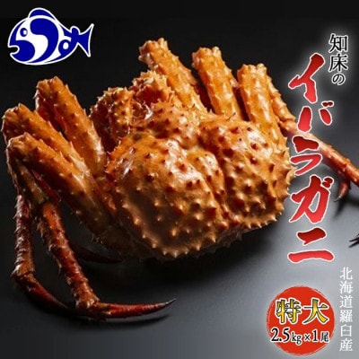 知床 イバラガニ 姿 1尾(2.5kg前後)
