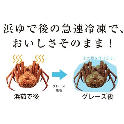 知床 イバラガニ 姿 1尾(2.5kg前後)