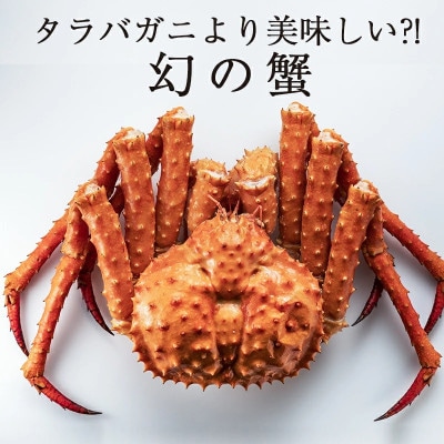 知床羅臼産イバラガニ むき身 500g(250g×2パック)