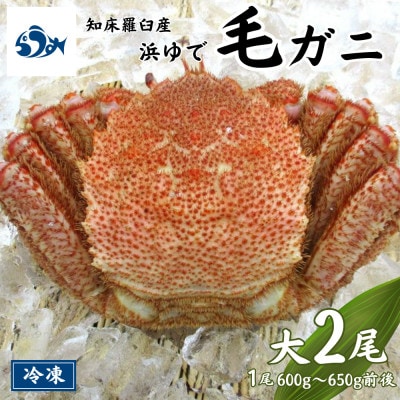 知床羅臼産 浜ゆで毛がに 大サイズ 2尾(1尾 600g～650g前後)
