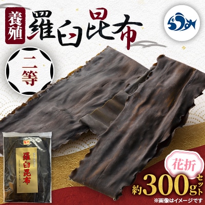 羅臼昆布 養殖 二等 約300gセット 北海道 知床 羅臼産